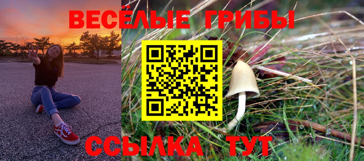 Муравленко  Галлюциногенные грибы мицелий  Вход с VPN 