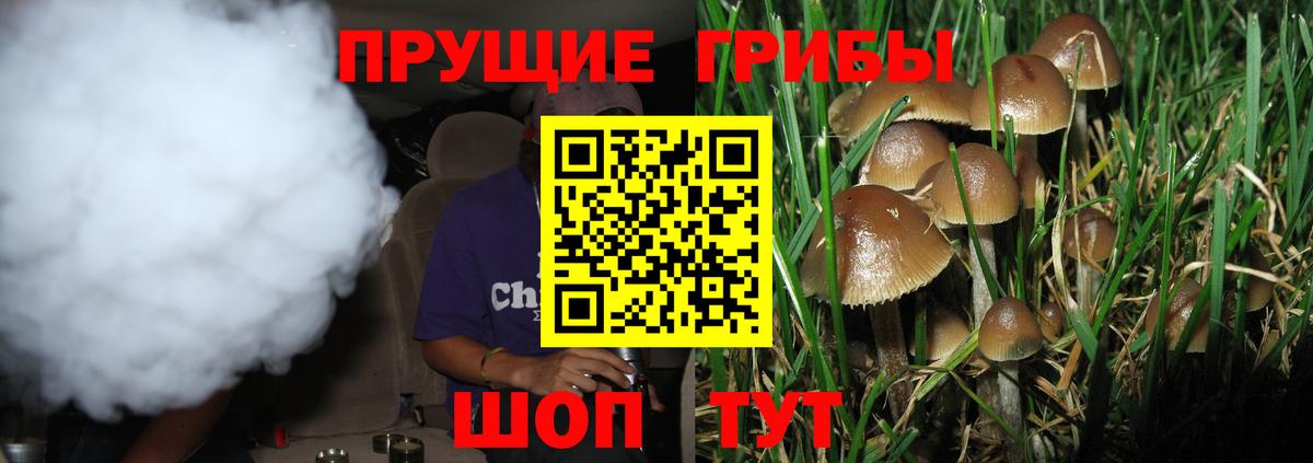 Псилоцибиновые грибы Magic Shrooms Муравленко