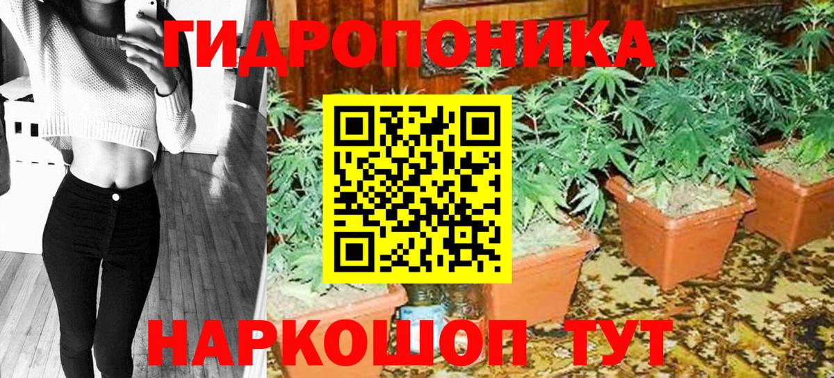 Канабис OG Kush  Шишки марихуана конопля  Муравленко  Бошки Шишки семена  Вход с VPN  Канабис гибрид 